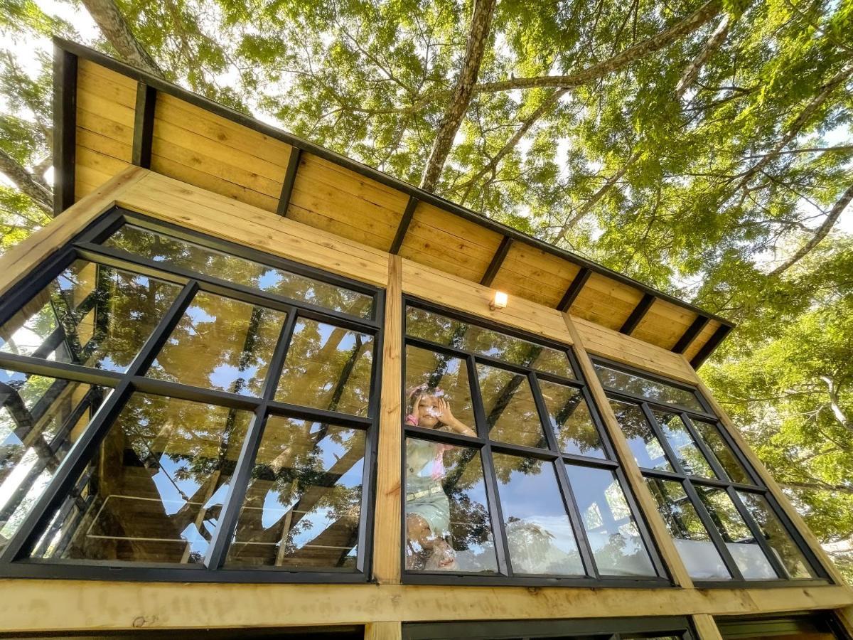 Casa En El Arbol Villa Utica Eksteriør billede