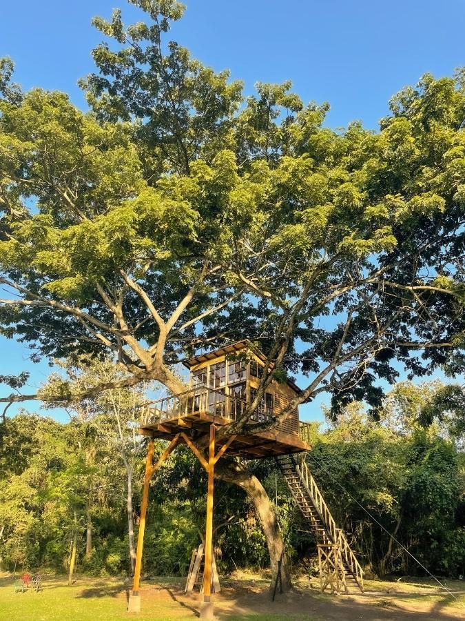 Casa En El Arbol Villa Utica Eksteriør billede