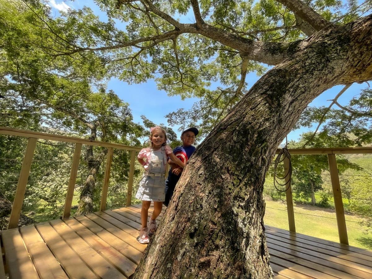 Casa En El Arbol Villa Utica Eksteriør billede