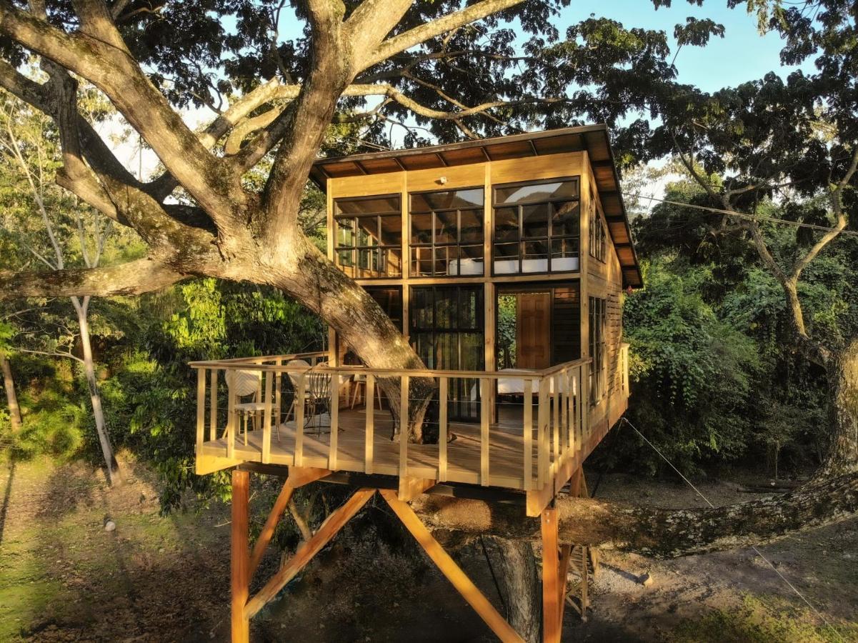 Casa En El Arbol Villa Utica Eksteriør billede