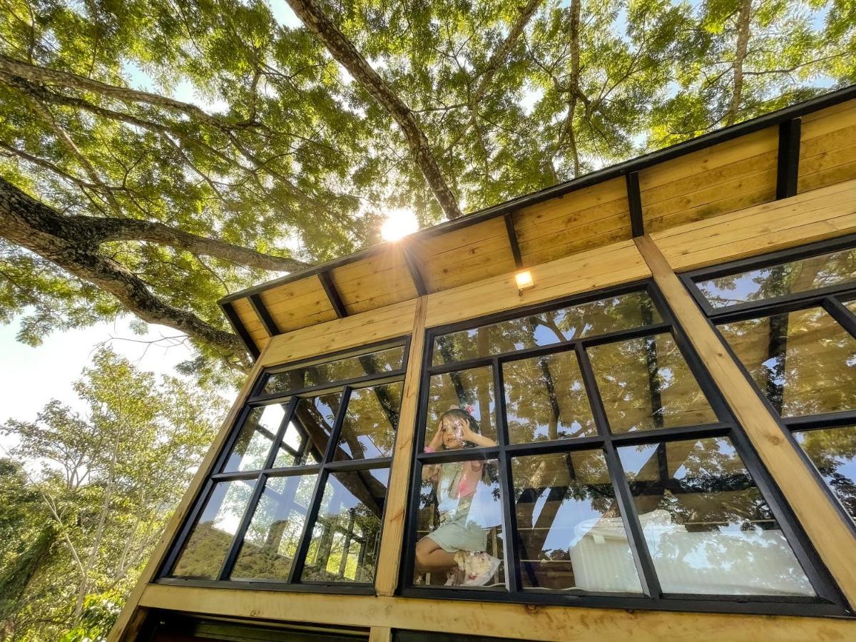 Casa En El Arbol Villa Utica Eksteriør billede