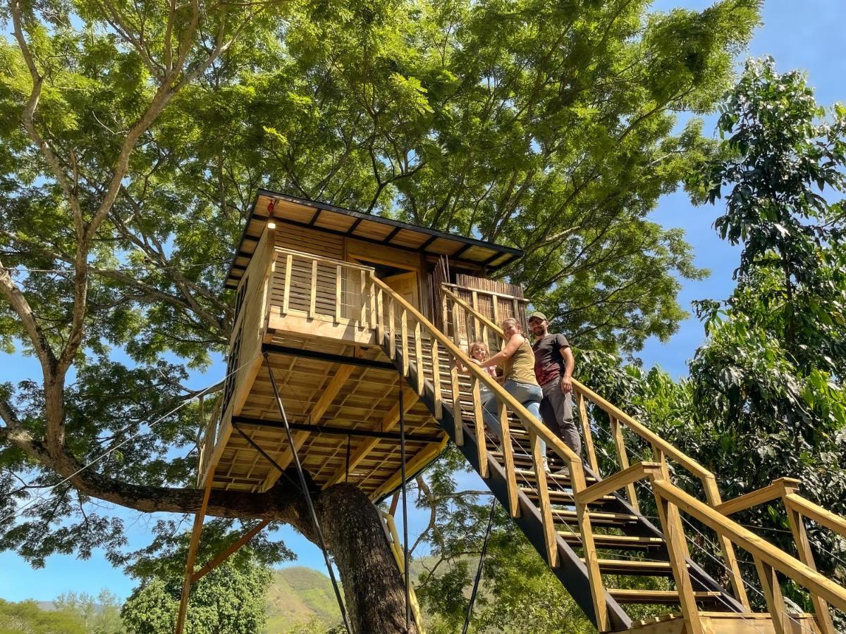 Casa En El Arbol Villa Utica Eksteriør billede