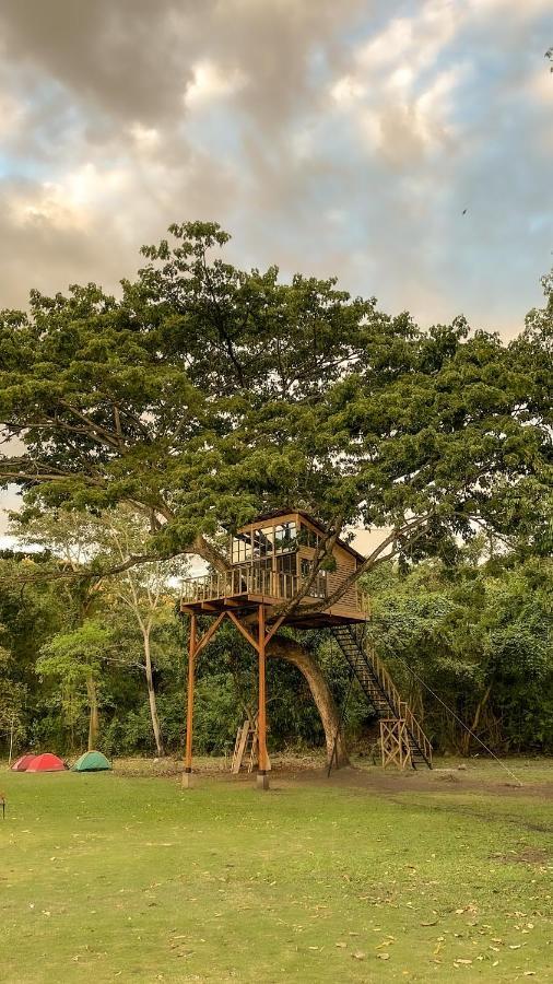 Casa En El Arbol Villa Utica Eksteriør billede