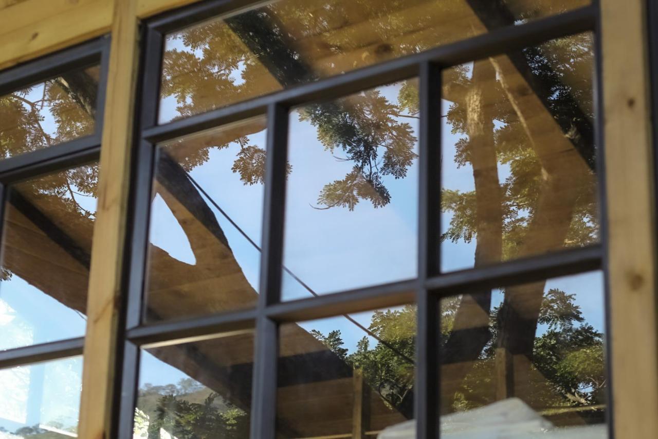 Casa En El Arbol Villa Utica Eksteriør billede